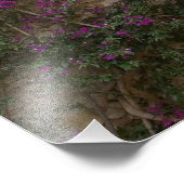 Impression Photo France, Provence, Eze. Rose Brillant (Coin)