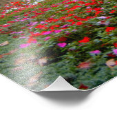 Impression Photo France, Saint Rémy de Provence, cloîtres à 2 (Coin)