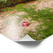 Impression Photo France, Saint Rémy de Provence, cloîtres à 3 (Coin)