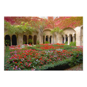 Impression Photo France, St. Remy de Provence, cloîtres à 2
