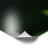 Impression Photo Frangipani blanc (Coin)