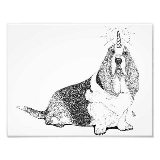 Impression Photo Fred the Bassetcorn (Devant)
