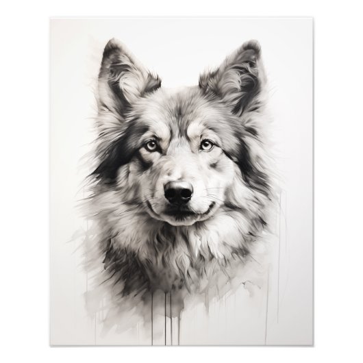 Impression Photo Free Spirit Chien noir et blanc (Devant)