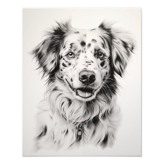 Impression Photo Free Spirit Chien noir et blanc (Devant)