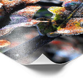 Impression Photo Froid de fée de chêne (Coin)