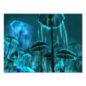 Impression Photo Fromage de champignons (Devant)