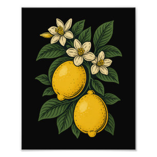 Impression Photo Fruit citron Vintage Art Lemon Farm