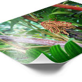 Impression Photo Fruit de palme à Hawaii (Coin)