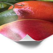 Impression Photo Fruit tropical (Coin)