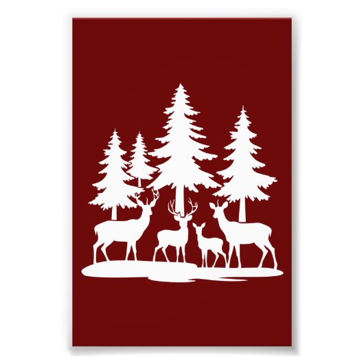 Impression Photo Funny Skinny Pine Tree Randonnée d'été Camping (Devant)