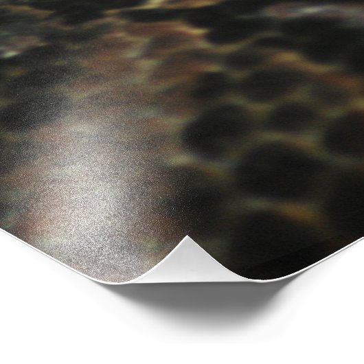 Impression Photo Gaboon Viper Closeup (Coin)