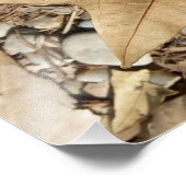 Impression Photo galets et feuilles (Coin)
