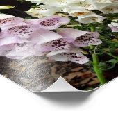 Impression Photo Gants de renard (Coin)