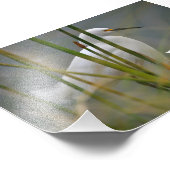 Impression Photo Garza blanca (Coin)