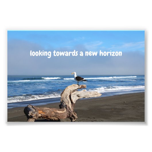Impression Photo Gaviota frente al mar (Devant)