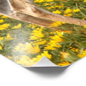 Impression Photo Gazelle dans le pré (Coin)