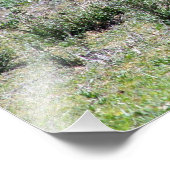 Impression Photo Gazelles dans les plaines (Coin)