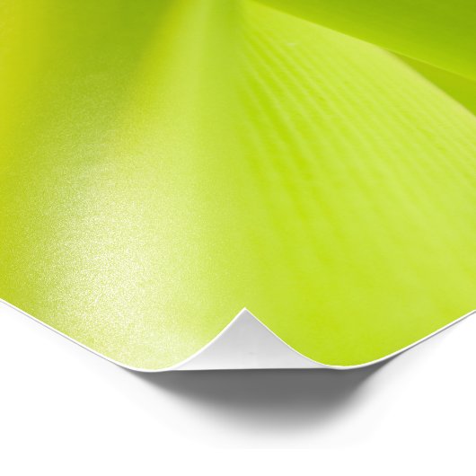 Impression Photo Gecko Gold Dust Day (Coin)