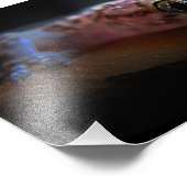 Impression Photo Gecko Lizard méditerranéen (Coin)