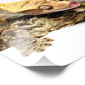 Impression Photo Geckos (Coin)