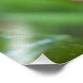 Impression Photo Gingembre Beehive, Zingiber spectabile), (Coin)