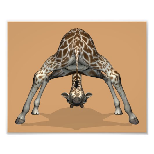 Impression Photo Girafe flexible (Devant)