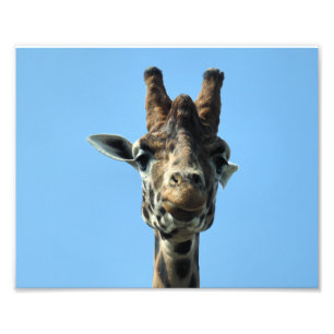 IMPRESSION PHOTO GIRAFFE