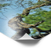 IMPRESSION PHOTO GIRAFFE (Coin)