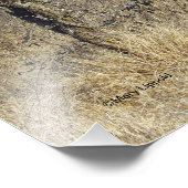 IMPRESSION PHOTO GIRAFFE (Coin)