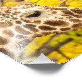 Impression Photo Giraffe et feuille (Coin)