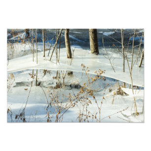 Impression Photo Glace de marais gelé Scène hivernale Beaux-arts