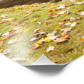 Impression Photo Glade Creek Grist Mill, Babcock State Park, (Coin)