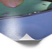 Impression Photo Gloire du matin (Coin)