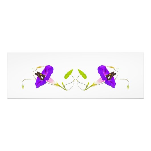 Impression Photo Gloire du matin et papillon (Devant)