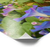 Impression Photo Glories du matin (Coin)