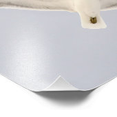 Impression Photo Goéland (Coin)