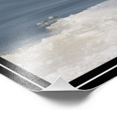 Impression Photo Goéland sur glace (Coin)