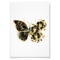 Gold flower Butterfly with Black Orchid