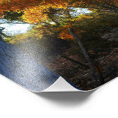 Impression Photo Golden Arizona (Coin)