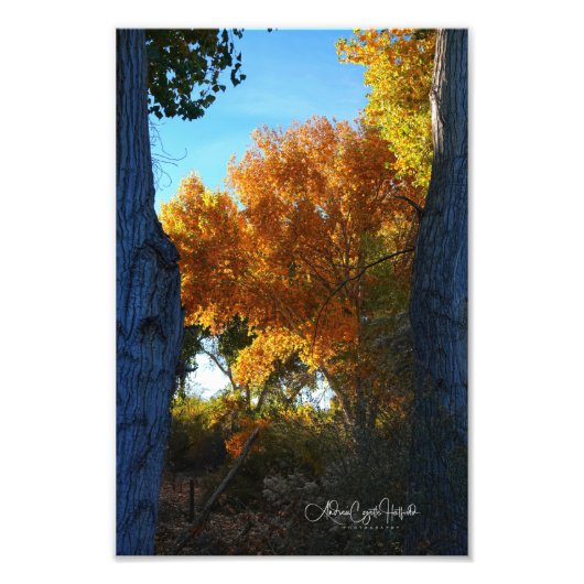 Impression Photo Golden Arizona (Devant)