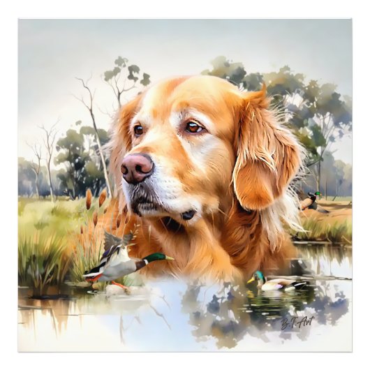 Impression Photo Golden Retriever (Devant)