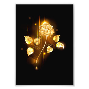 Impression Photo Golden rose ( gold rose )