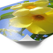 Impression Photo Golden Trumpet (Coin)