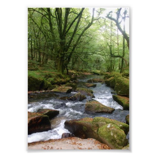 Impression Photo Golitha Falls River Fowey Cornwall Angleterre (Devant)