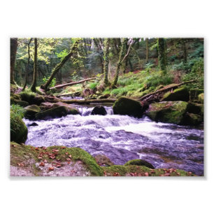 Impression Photo Golitha Falls River Fowey Cornwall Angleterre