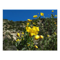 Gould Mesa Trail, CA