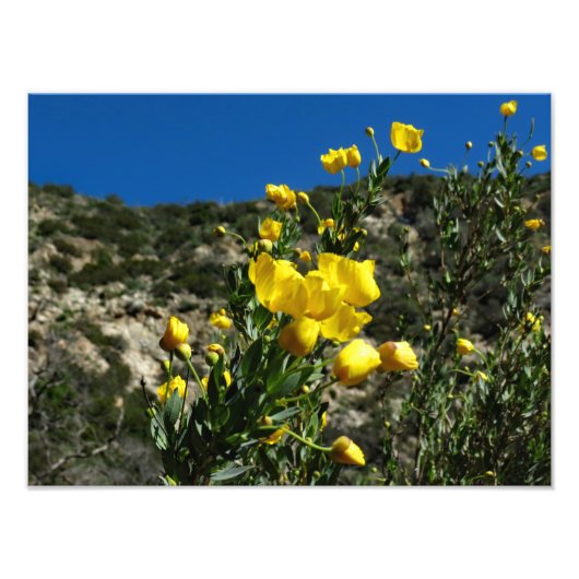 Impression Photo Gould Mesa Trail, CA (Devant)