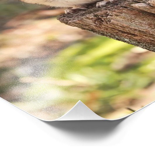 Impression Photo Graisse et bouffée (Coin)