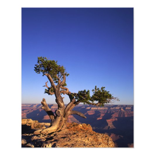 Impression Photo Grand Canyon, Arizona, USA (Devant)
