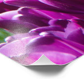 Impression Photo Grand champ de tulipes pourpres (Coin)